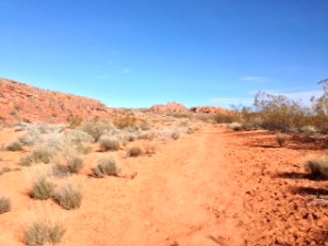 Near the trail head